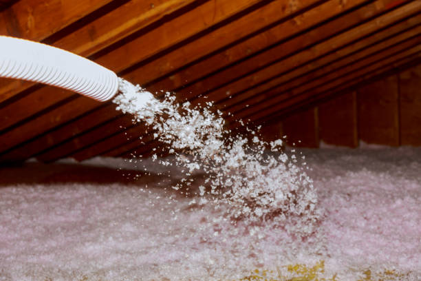 Best Crawl Space Insulation  in Bishop, CA