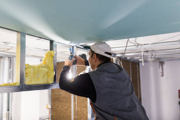 Best Insulation Repair Services  in Bishop, CA