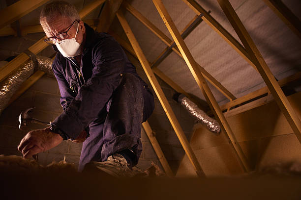 Best Attic Insulation Installation  in Bishop, CA